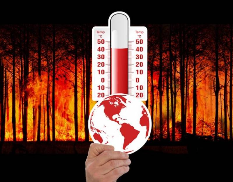 Three cities in Murcia approach the global warming temperature danger zone