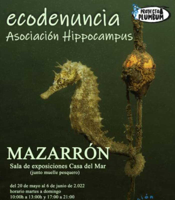 May 20 to June 6 Marine photography exhibition in Puerto de Mazarron