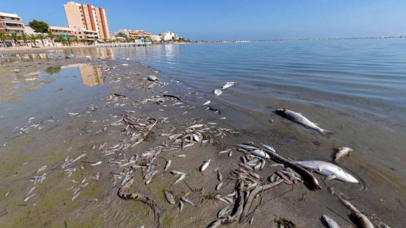 Mar Menor is safe to swim in, claims Murcia Health Minister