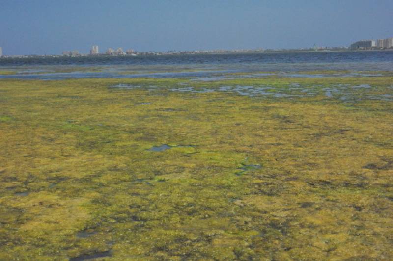 <span style='color:#780948'>ARCHIVED</span> - More nitrates have already entered the Mar Menor so far this year than in the whole of 2021