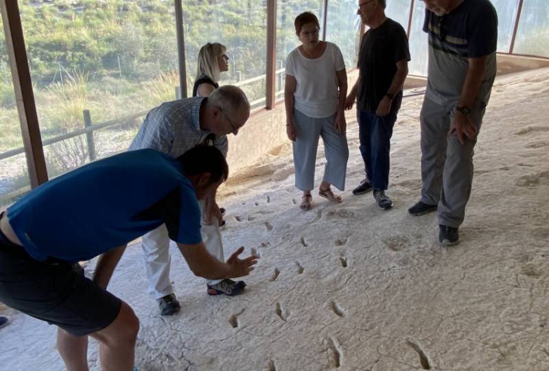<span style='color:#780948'>ARCHIVED</span> - Fossilized sabre-toothed tiger footprints in Jumilla date from over 7 million years ago