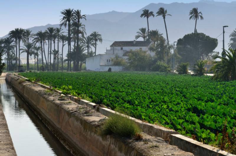 July 7 Free guided tour of the 1000-year-old Acequia irrigation channel in the city of Murcia
