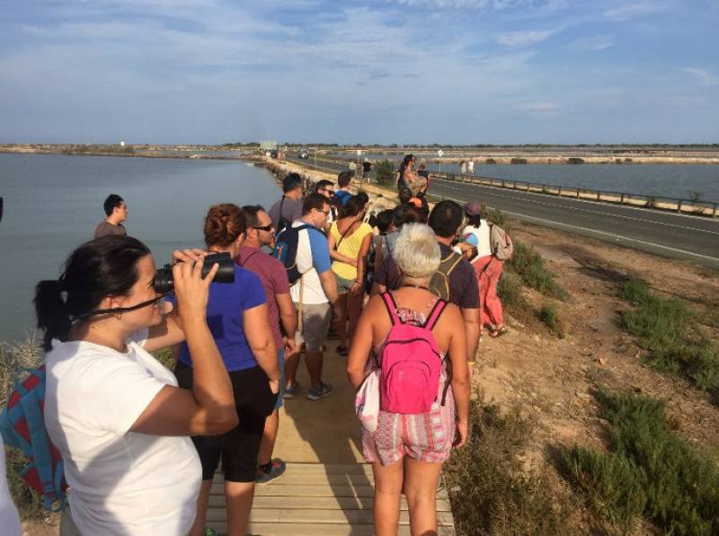 June 26 Free guided tour to see the flamingos in the salt flats of San Pedro del Pinatar