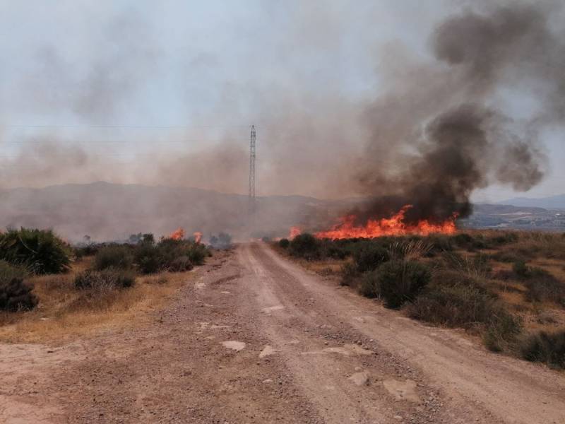 <span style='color:#780948'>ARCHIVED</span> - El Saladillo wildfire under control: photo gallery of the fight against the fire