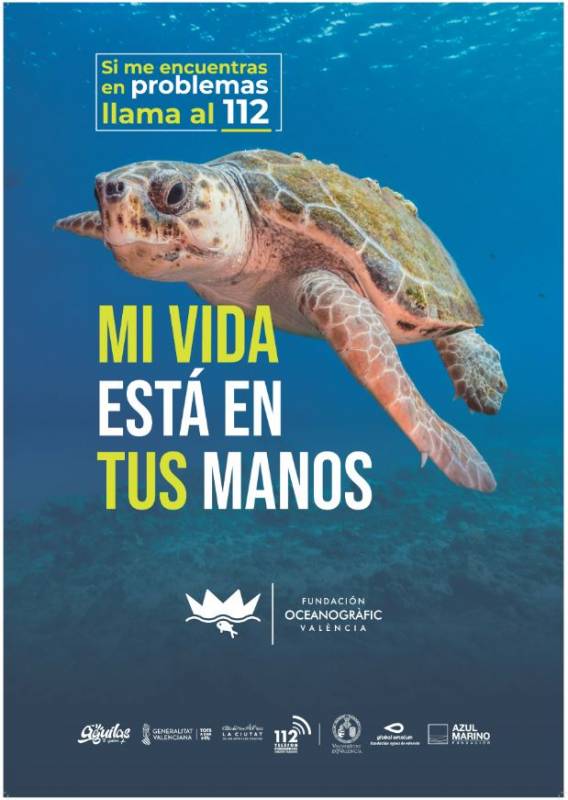 Aguilas joins campaign to protect endangered turtles