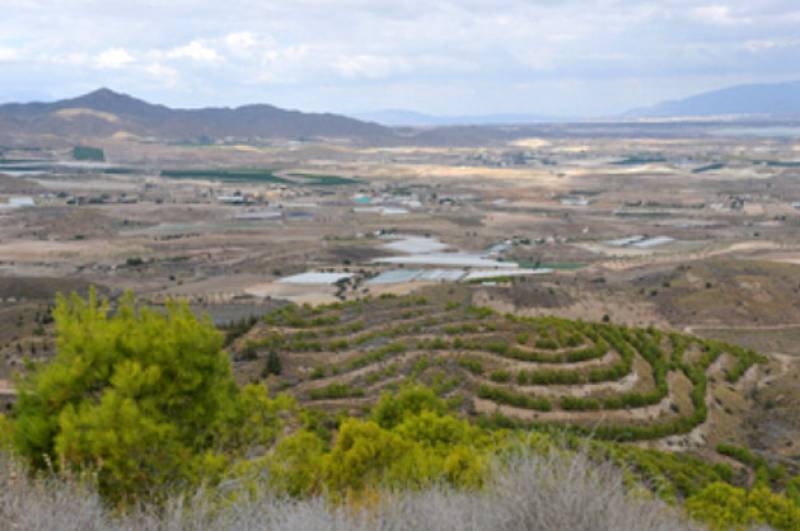 <span style='color:#780948'>ARCHIVED</span> - August 15 Free guided walk in La Atalaya and Coto Fortuna in the countryside of Mazarron