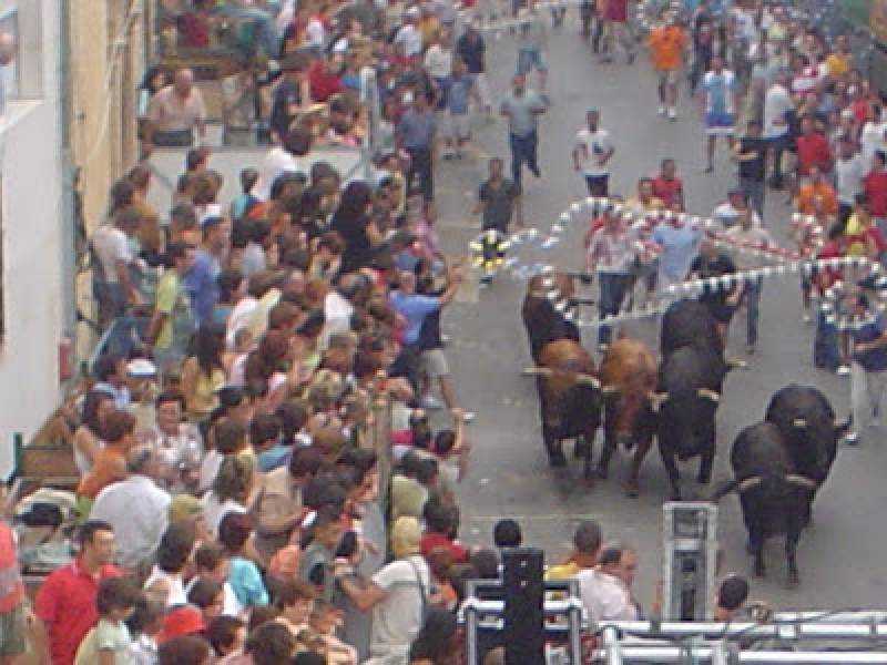 <span style='color:#780948'>ARCHIVED</span> - French tourist gored during Alicante bull run dies after 9 days in a coma