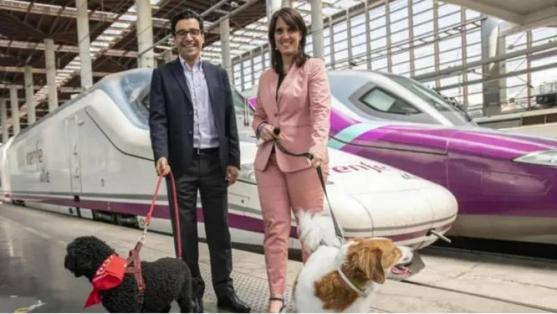 Larger dog breeds allowed on Spanish trains in Renfe pilot project