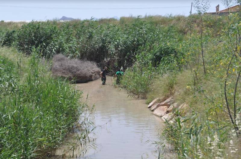 <span style='color:#780948'>ARCHIVED</span> - New green filters will remove 60 per cent of nitrates from the Mar Menor