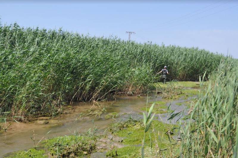 <span style='color:#780948'>ARCHIVED</span> - New green filters will remove 60 per cent of nitrates from the Mar Menor