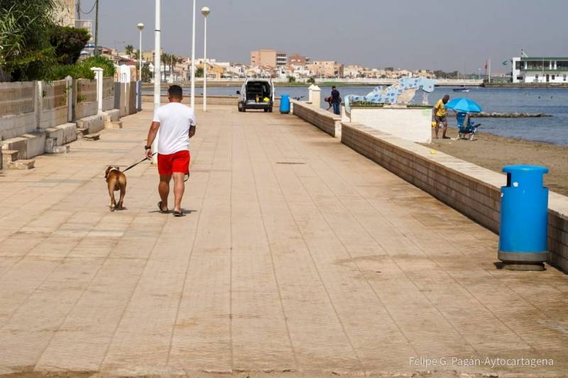 Dogs will NOT be banned from beach promenades in Cartagena