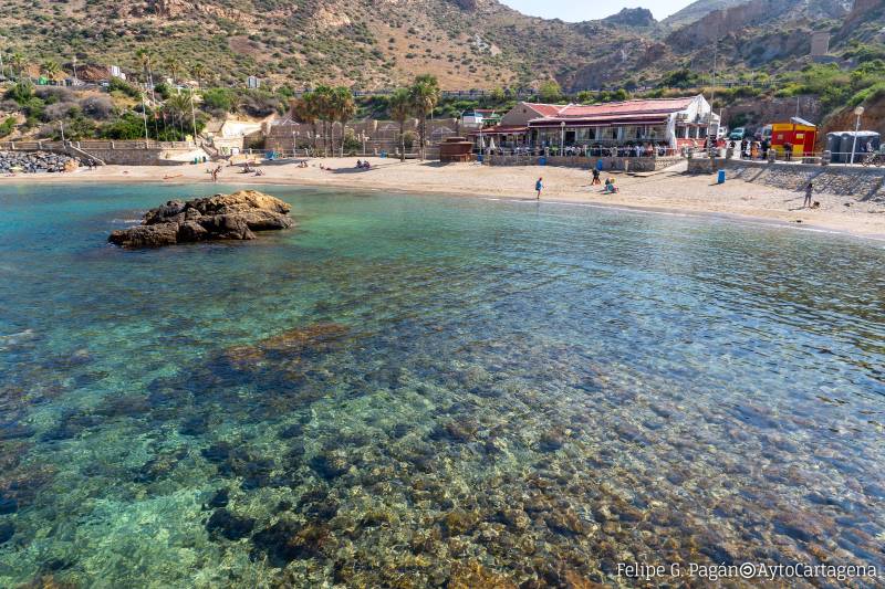 <span style='color:#780948'>ARCHIVED</span> - A dozen Cartagena beaches are awarded prestigious tourist sustainability status
