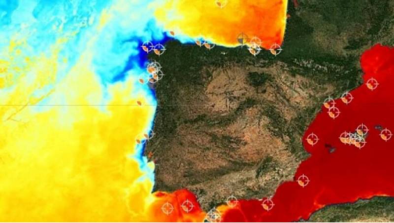 Mediterranean sea boils in maritime heatwave and tops 30 degrees