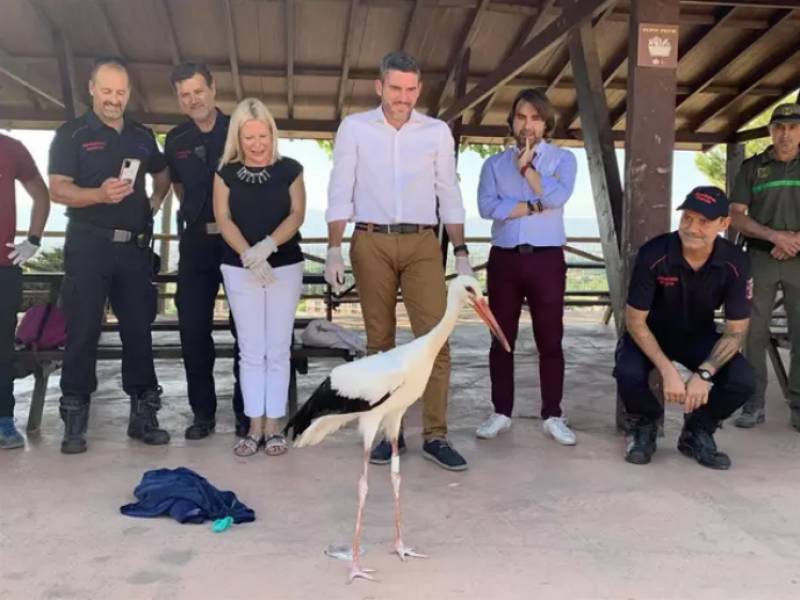 Born to be wild: Murcia rehabilitates and releases 500 rescue animals