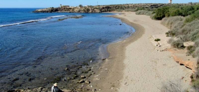 <span style='color:#780948'>ARCHIVED</span> - Four people rescued from same stretch of water on Aguilas beach