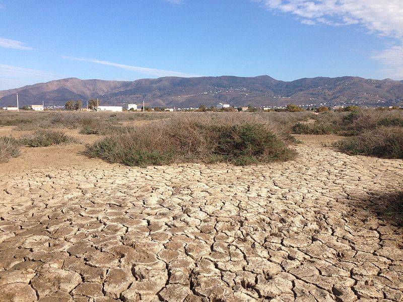 Drought forces water restrictions as Spain endures driest period in 500 years