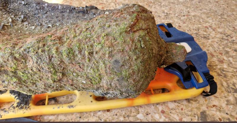 <span style='color:#780948'>ARCHIVED</span> - Swimmers discover ancient cannon at Santa Pola beach