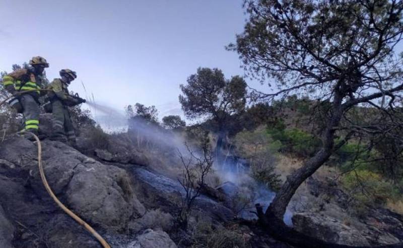 Lightning strikes start three forest fires in Jumilla and Yecla