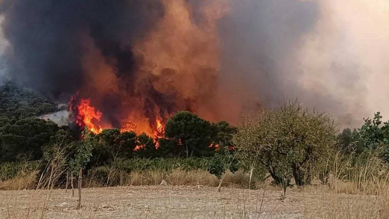 Lightning strike starts horrendous forest fire in Jumilla