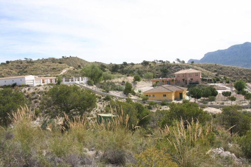 November 27 Free open morning at the Alto del Rellano ecology park in the countryside of central Murcia