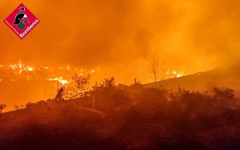 <span style='color:#780948'>ARCHIVED</span> - Flames rip through field overnight in Rojales, Alicante