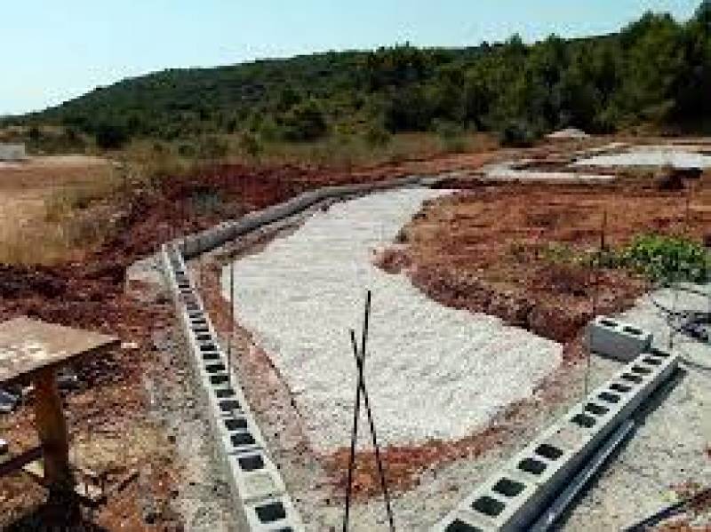 Catland: the charity cat shelter being built in Javea that local politicians are refusing to fund