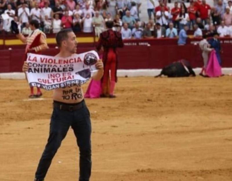 <span style='color:#780948'>ARCHIVED</span> - Semi-nude Dutch bullfight protestor breaks into Murcia bullring in the middle of a 1-minute silence