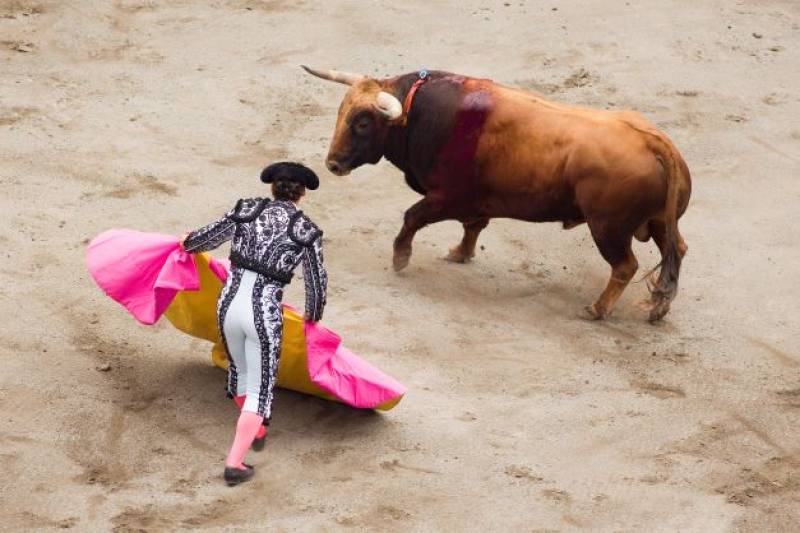 <span style='color:#780948'>ARCHIVED</span> - Murcia opposition party demands referendum to ban bullfighting in the capital