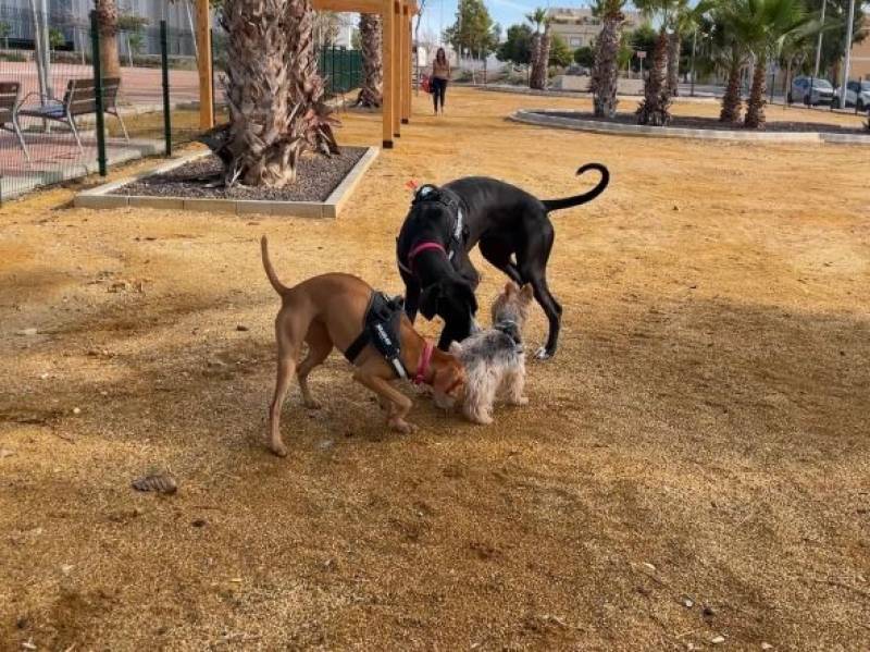 <span style='color:#780948'>ARCHIVED</span> - Puerto de Mazarron gets its first ever dog park, complete with agility equipment