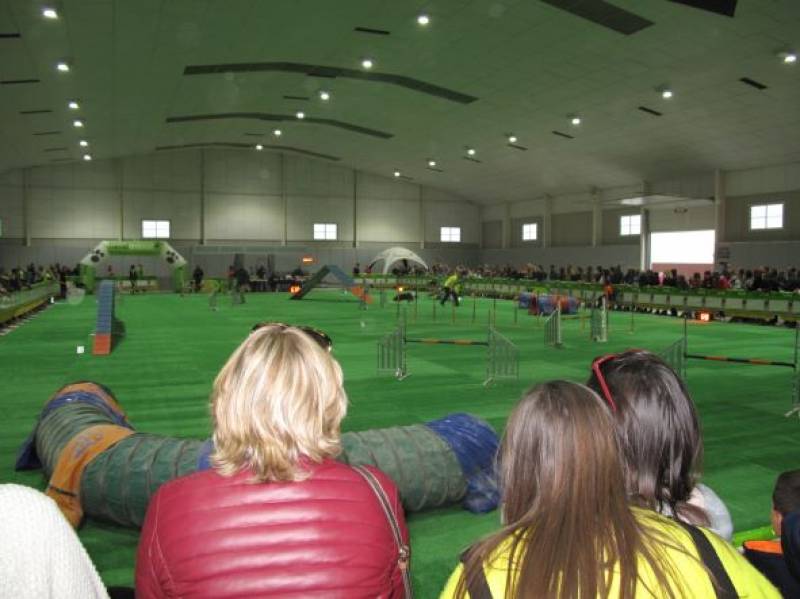 <span style='color:#780948'>ARCHIVED</span> - November 5 and 6 Dog show at the at the IFEPA exhibition centre in Torre Pacheco