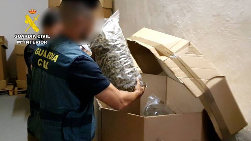 Biggest ever cannabis haul with street value of 65M euros seized in raids across Spain