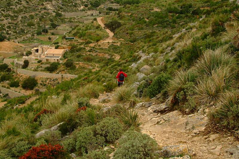 Climb to new heights with the most exciting hiking routes in Mallorca
