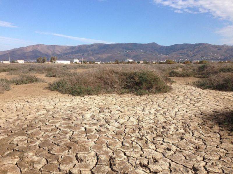 Heavy rains do little to refill Cadiz reservoirs