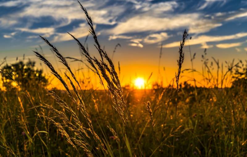 <span style='color:#780948'>ARCHIVED</span> - Murcia Region pushes carbon credits as environmentally friendly source of income for farms