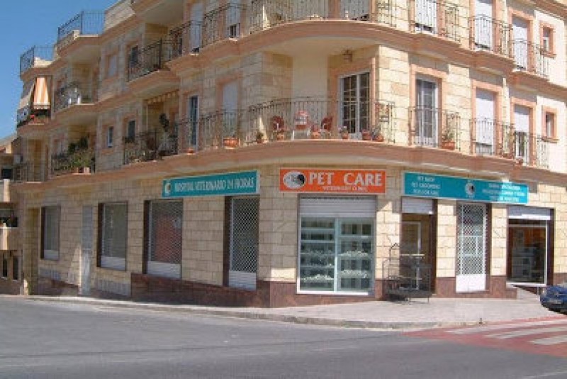 <span style='color:#780948'>ARCHIVED</span> - Alicante vet accepts 10-year sentence for mercy killing of his wife