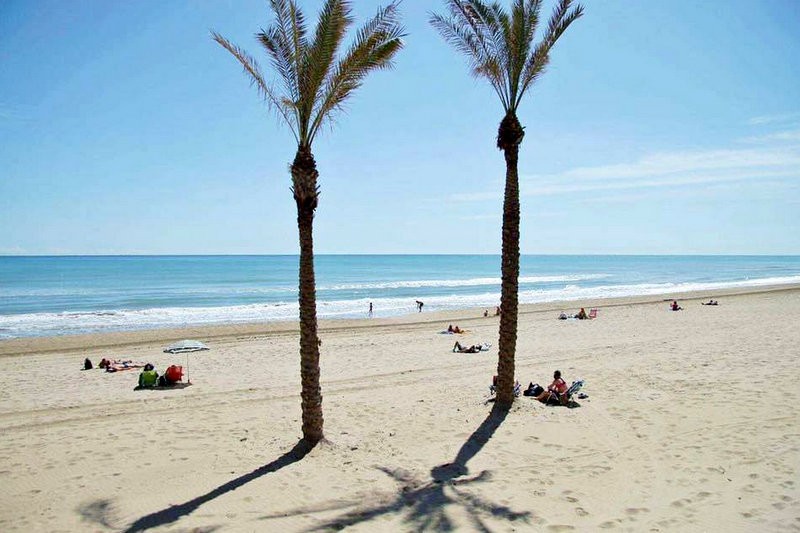 <span style='color:#780948'>ARCHIVED</span> - Guardamar del Segura prepares beaches for Easter