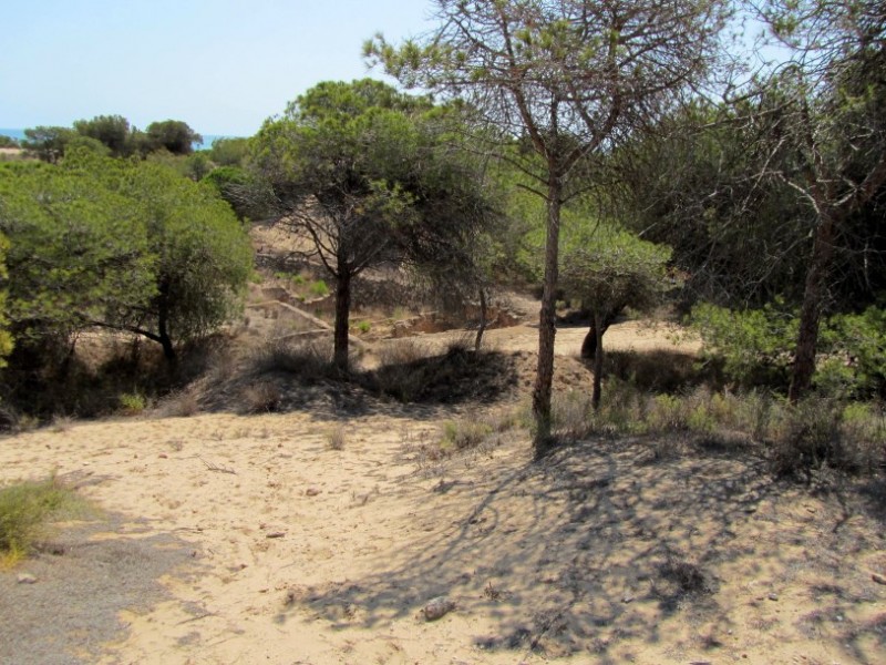 <span style='color:#780948'>ARCHIVED</span> - A million euros to develop Guardamar del Segura archaeological site