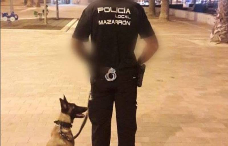 <span style='color:#780948'>ARCHIVED</span> - Mazarron expat arrested for beating wife on New Years Day