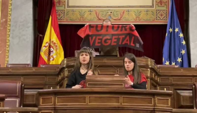 Climate activists stage protest at Spanish Congress