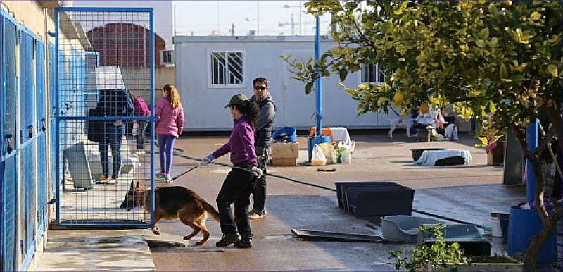 <span style='color:#780948'>ARCHIVED</span> - Torrevieja Animal Shelter is now open all year round