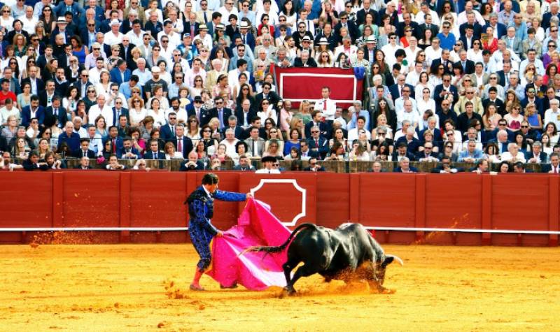 <span style='color:#780948'>ARCHIVED</span> - Spanish TV to stop broadcasting bullfighting channel