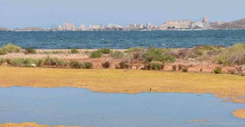 The Mar Menor will soon be given its own tax identification number