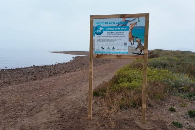 <span style='color:#780948'>ARCHIVED</span> - Cartagena officially opens its three dog-friendly beaches with new signage