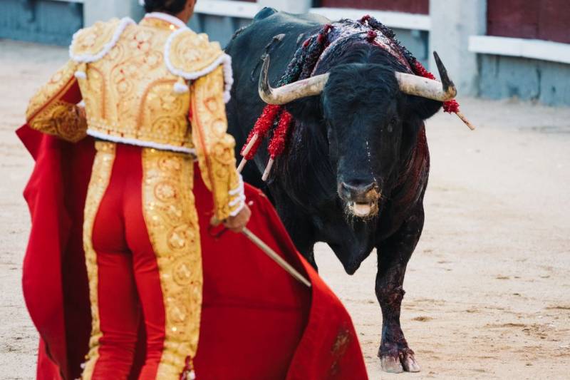 Murcia pumps 60,000 euros into training new bullfighters