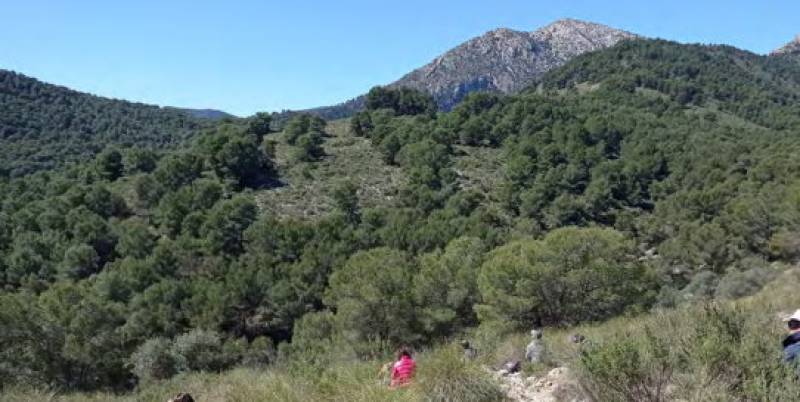 March 26 Guided walk in the regional park of Sierra Espuña