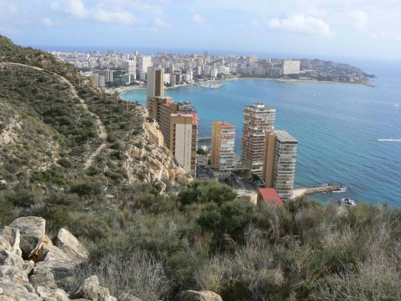April to June Spring Paths: six free routes to discover the best landscapes in Alicante city