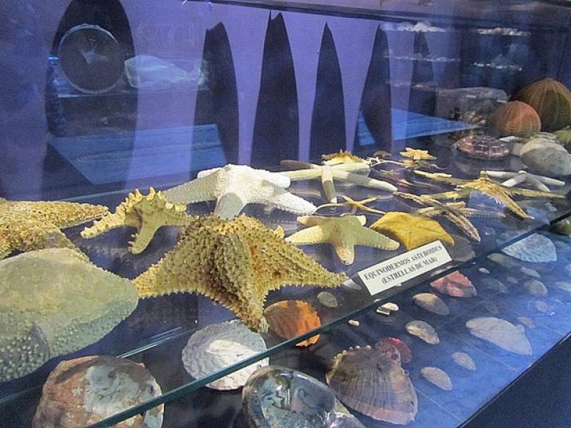 Aquarium repairs completed at the CIMAR Museum of the Sea in Aguilas