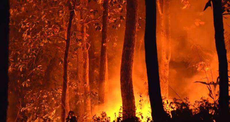 Spain is in flames: Summer forest fire season comes early this year