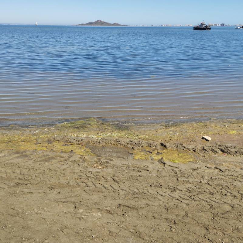 <span style='color:#780948'>ARCHIVED</span> - Los Nietos locals slam the state of beach ahead of summer season