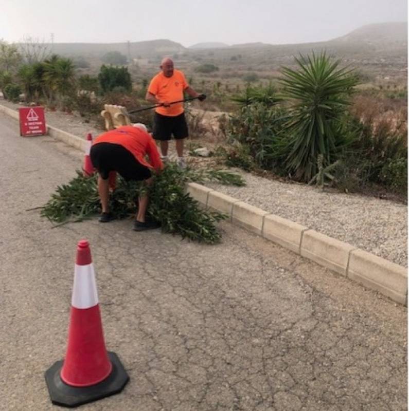 <span style='color:#780948'>ARCHIVED</span> - Camposol D Gardening and Community Group update and appeal for volunteers